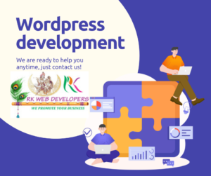 wordpress development